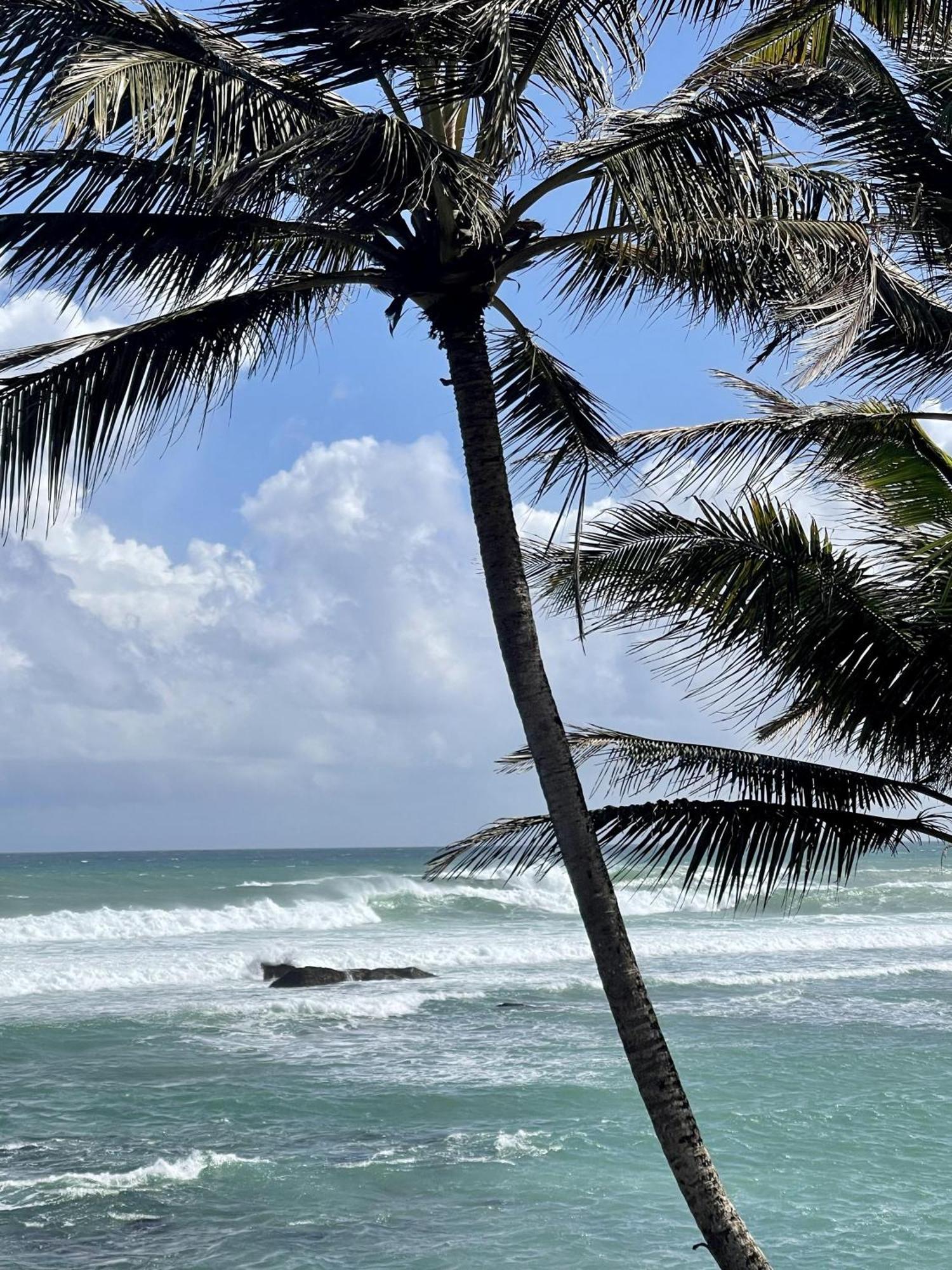 D' Art Villa Retreat And Spa Tangalle Buitenkant foto